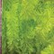 The Ribbon People Lime Green Fuzzy Boa Party Garland 0.75" x 55 Yards